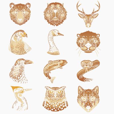 Native American Zodiac