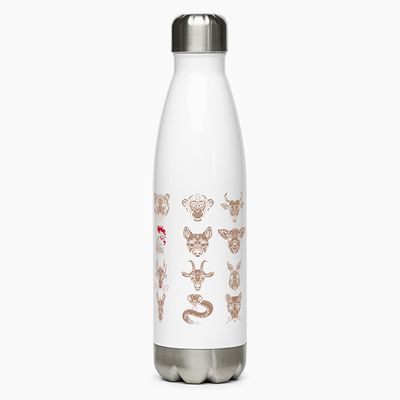 Stainless Steel Water Bottles