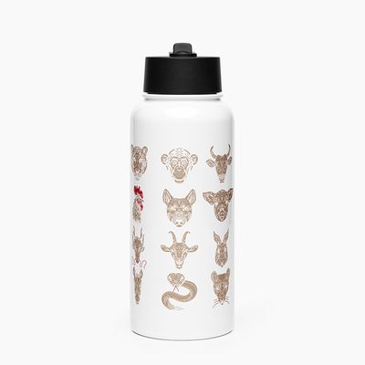 Stainless Steel Water Bottle with Straw Lid