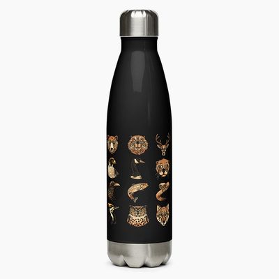 Stainless Steel Water Bottles