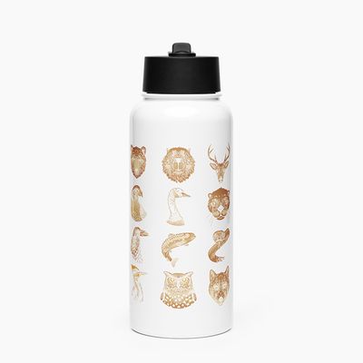 Stainless Steel Water Bottle with Straw Lid