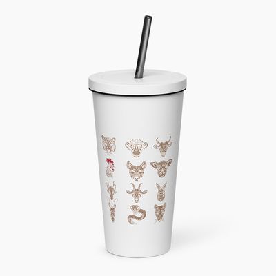 Insulated Tumblers with Straw