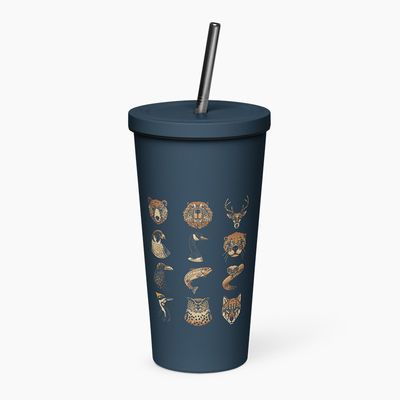 Insulated Tumblers with Straw