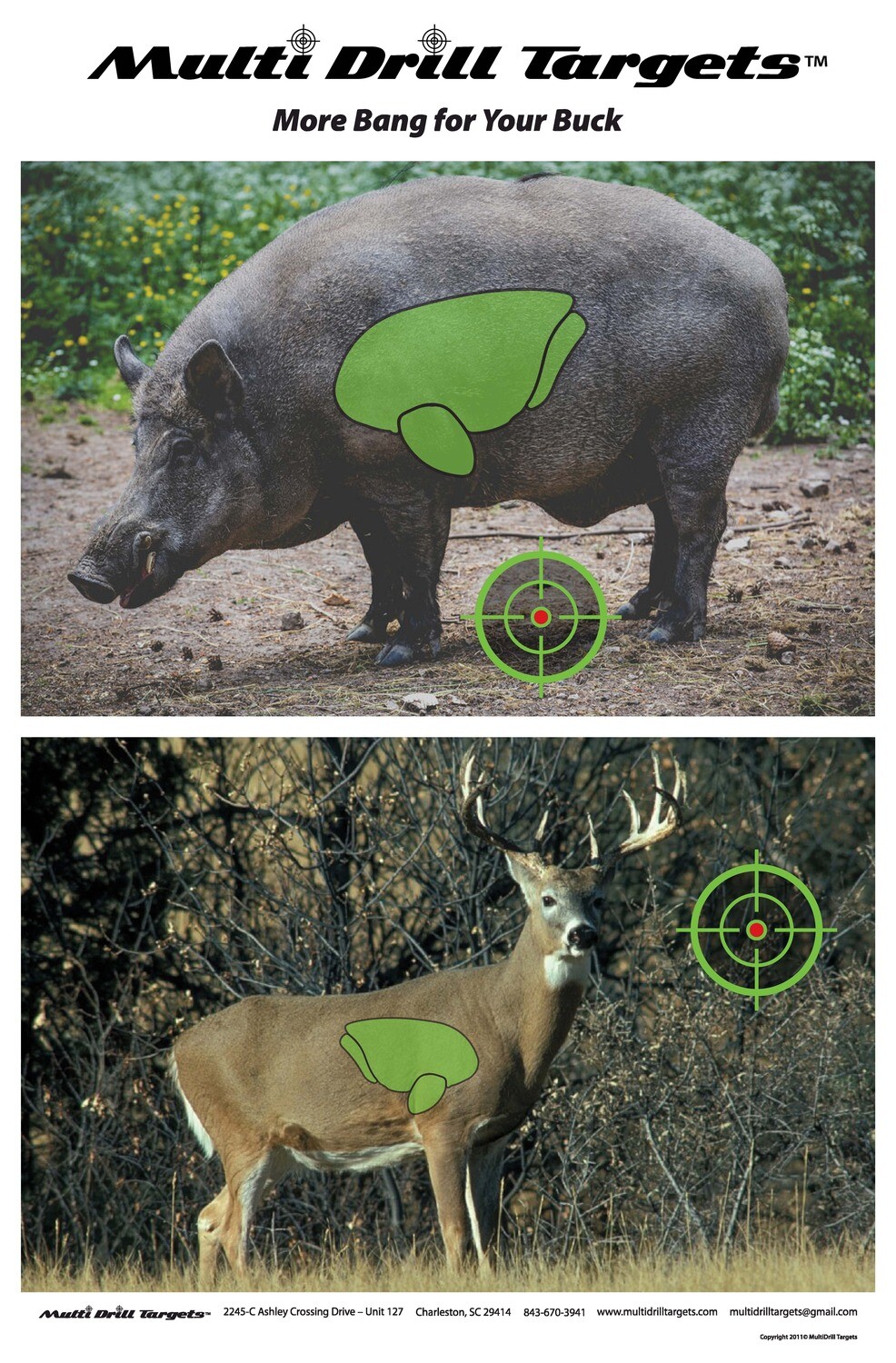 Buck - Boar Target - 10 pack