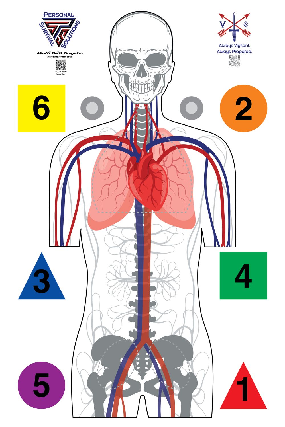 Personal Survival Solutions Anatomy Target  (25 pack)  Full Color 23" x 35"
