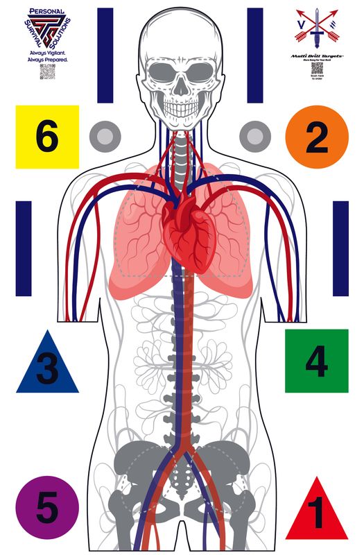 Personal Survival Solutions Anatomy Target  (25 pack)  Full Color 23" x 35"