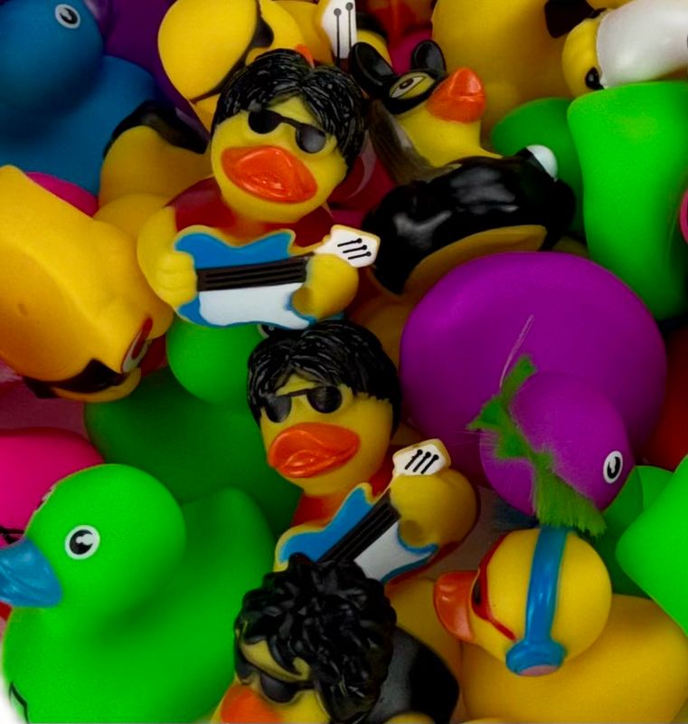 2.5” Rock N Roll Duck Mix