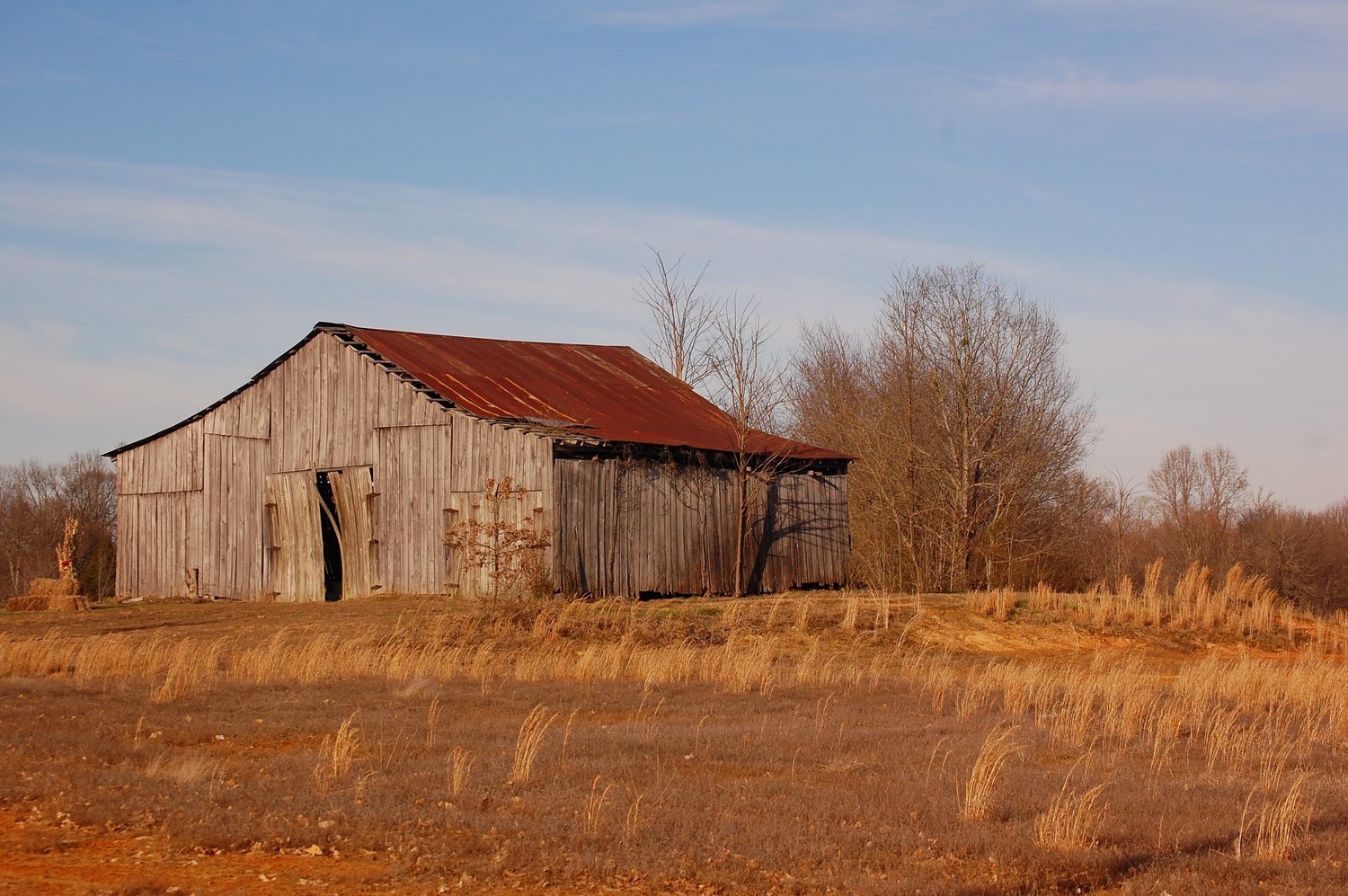 Weathered Beauty