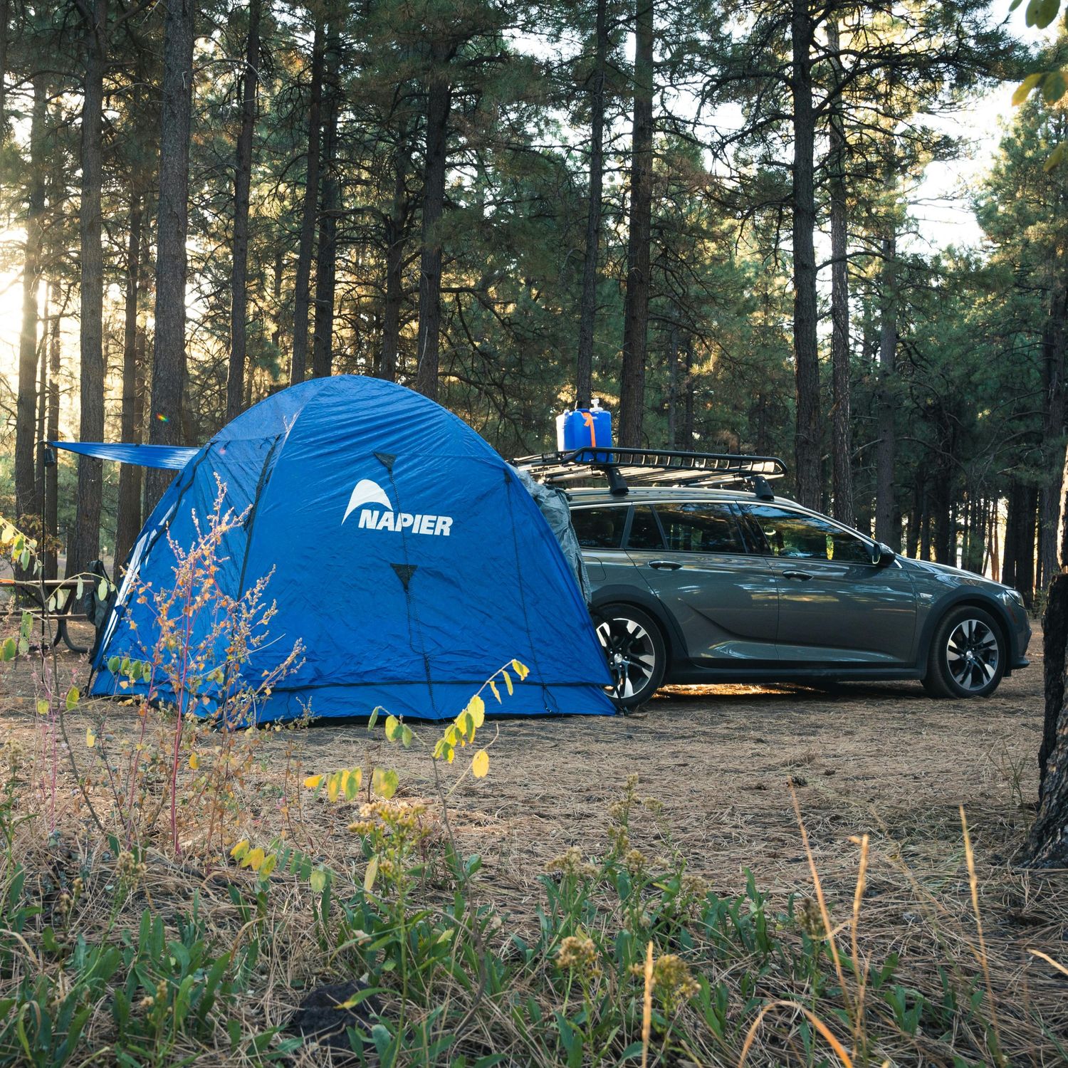 On-site Tent & Car Campsites - Fall Phantasm 2025