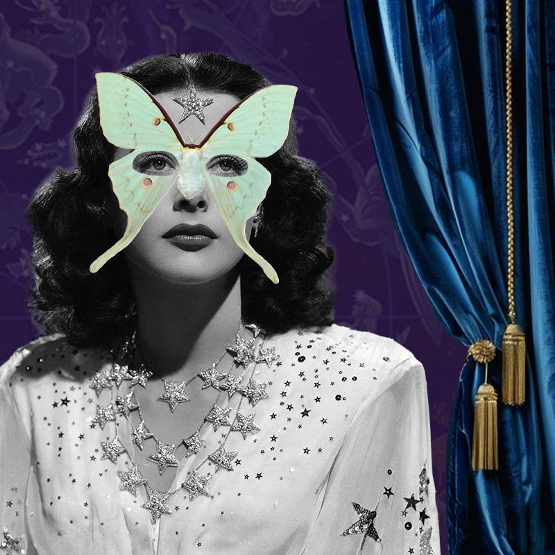 Masquerade Midwinter Gala Tickets