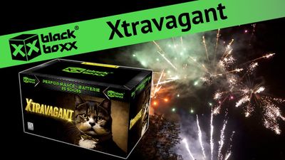 Blackboxx Xtravagant