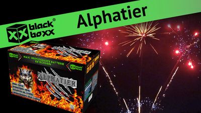 Blackboxx Alphatier - Verbundfeuerwerk