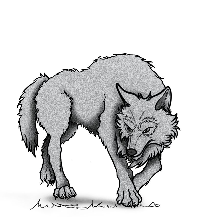 Wolf Basic