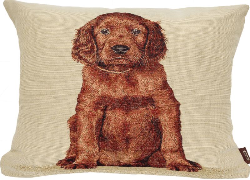 Baby Setter Cushion