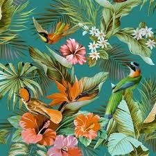 Paradise Birds Teal