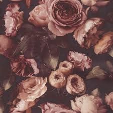 Opus Pink Rose