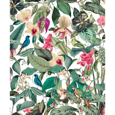 Pink Floral Wallpaper