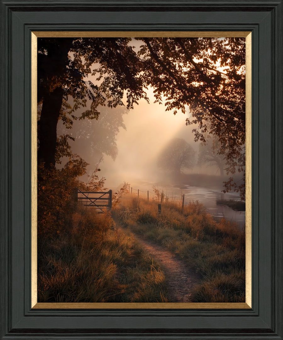 Falling Light 1