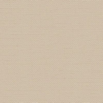 Textured Plain Cream