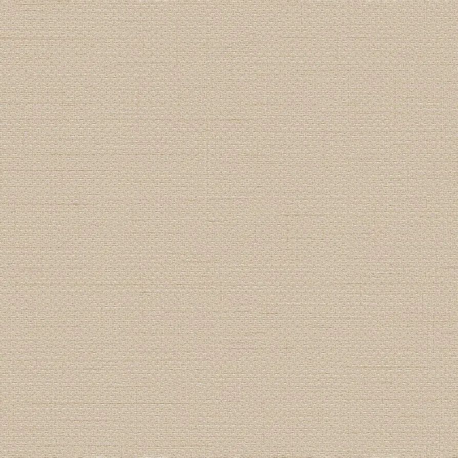 Textured Plain Cream
