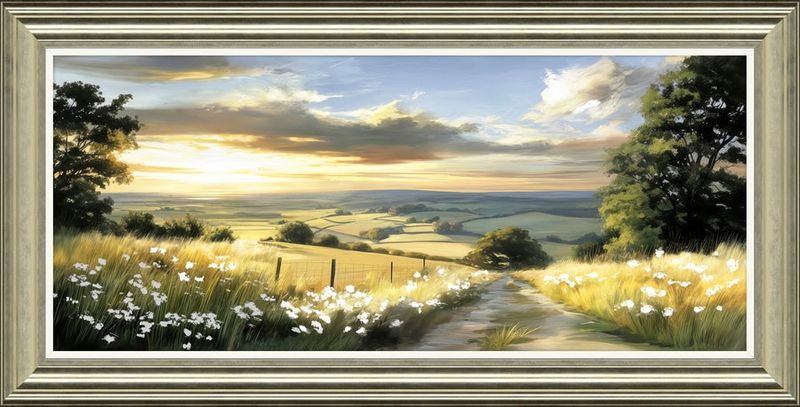 Fields Of Light