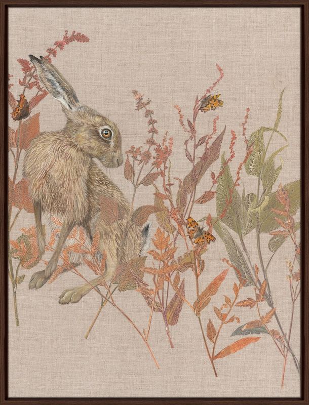 Before Winters Sleep Hare
