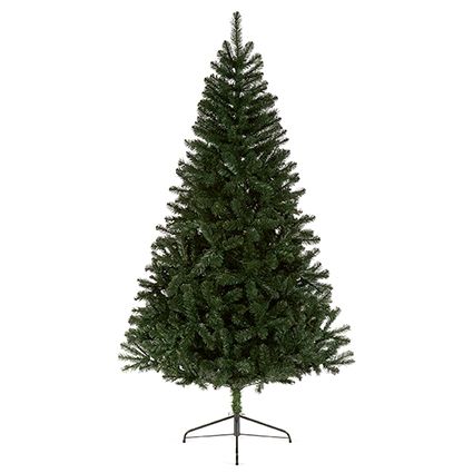 7ft Christmas Spruce Tree