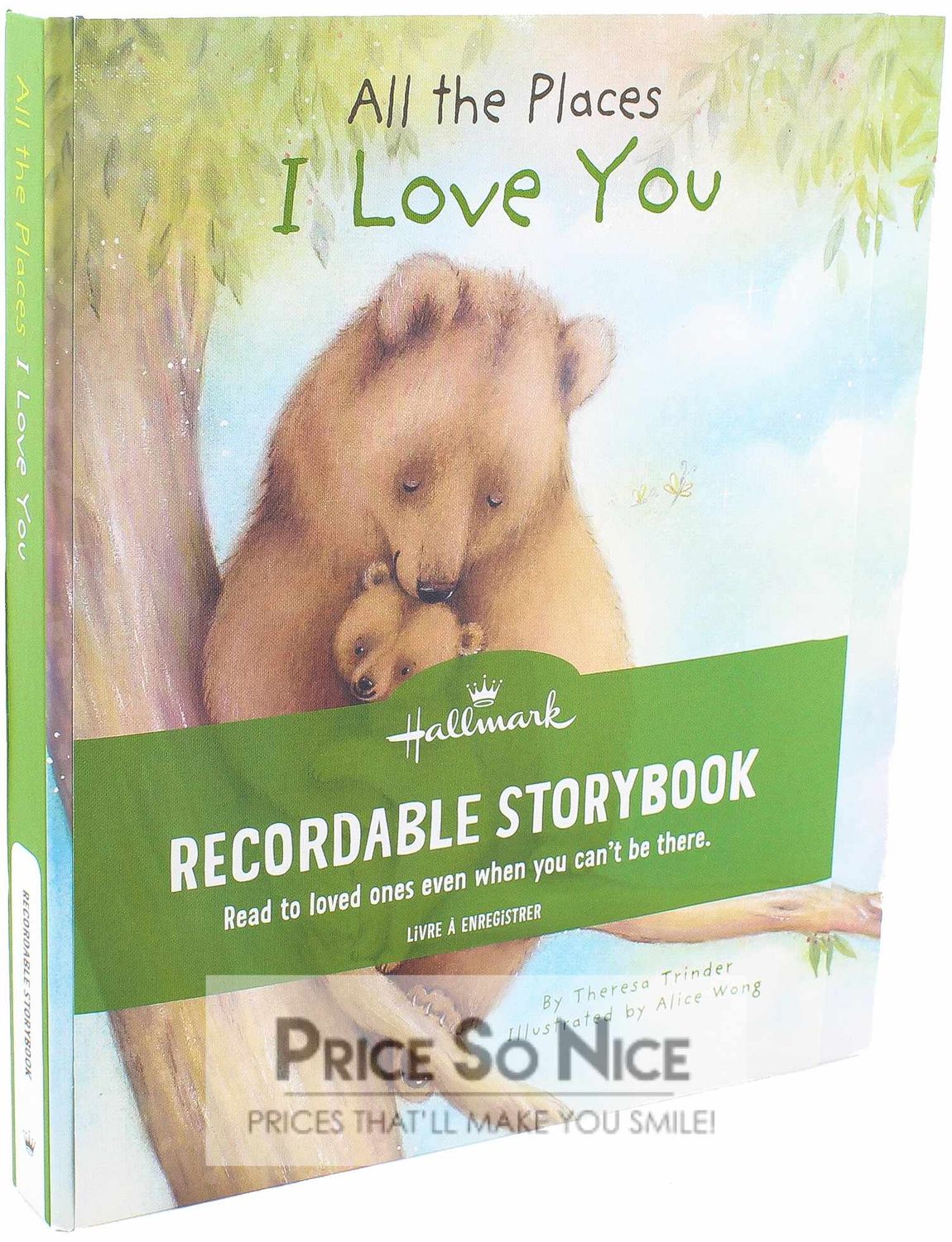 Hallmark All the Places I Love You Recordable Storybook