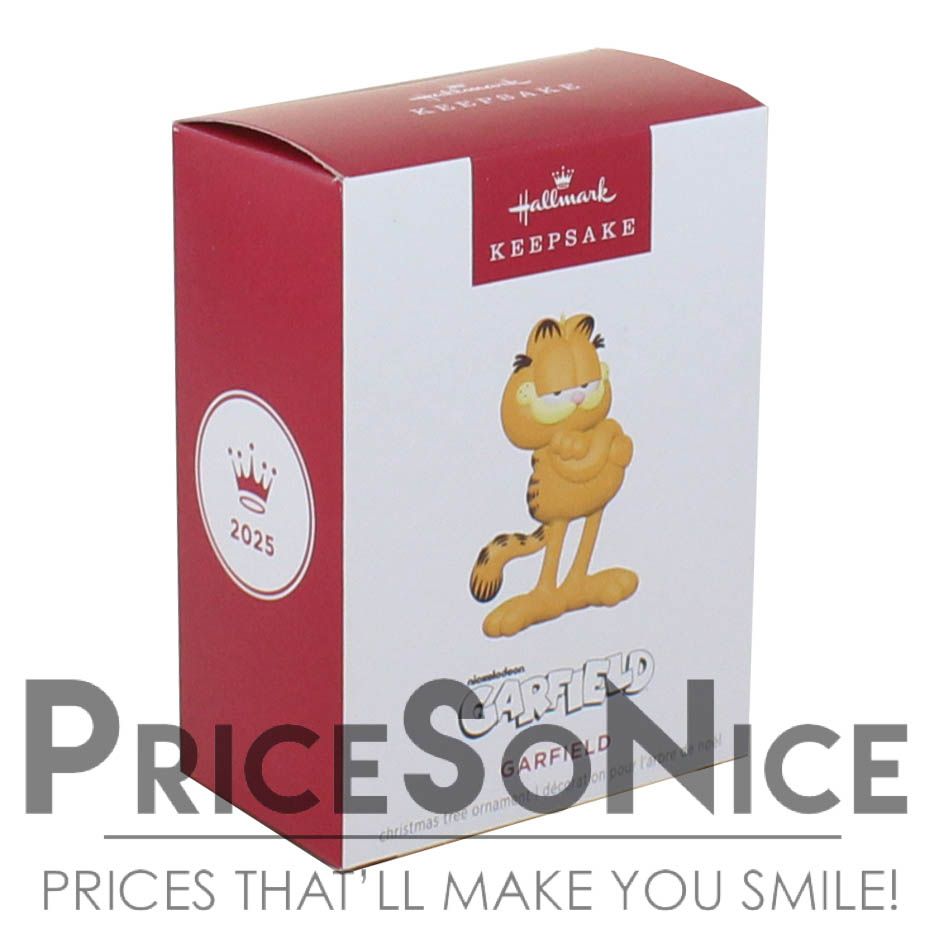 Hallmark Ornament 2025 Nickelodeon Garfield BAD BOX