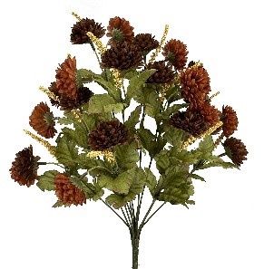 Pompom Mum Bush Brown