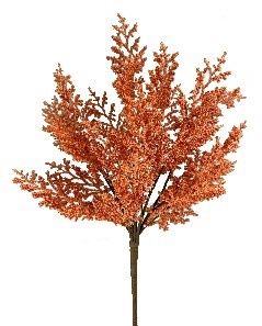 Cedar Bush in Orange