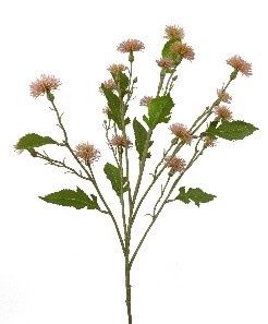 Plastic Sweet Daisy Spray Mauve