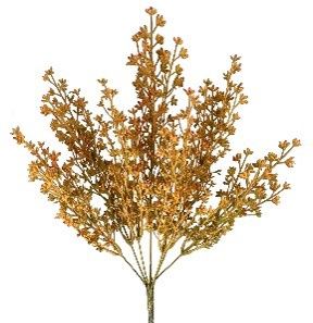 Gypsophila bush x7 Golden Yellow