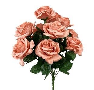Lillian Open Rose Bshx12 Cantalope