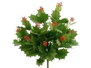 Holly Berry Bush x12 Green