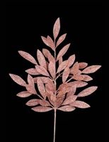 Glitter Bay Leaf Light Pink