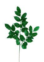 Glitter Bay Leaf Spray Emerald