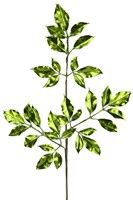 Metallic Leaf Spray Lime green