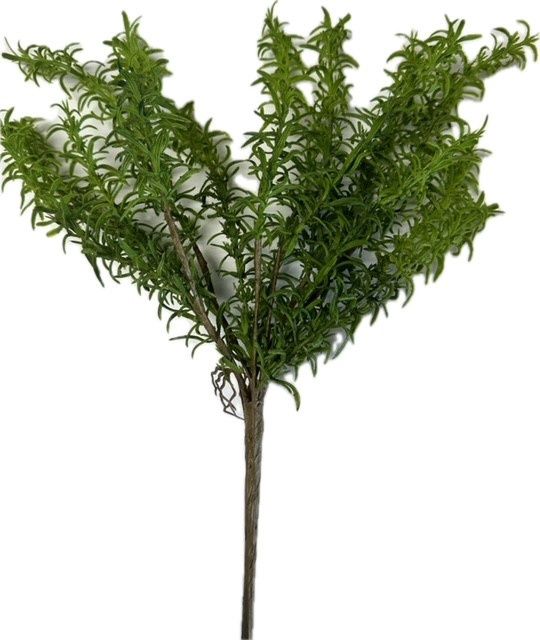 Rosemary Bush 17&quot; Green