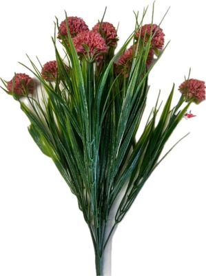 Dahlia Bush w Grass Coral