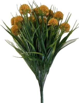 Dahlia Bush w Grass Gold