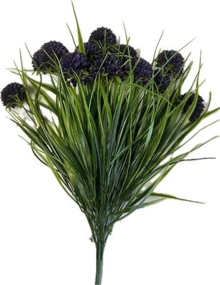 Dahlia Bush w Grass Purple