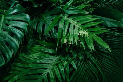 Silk Greenery