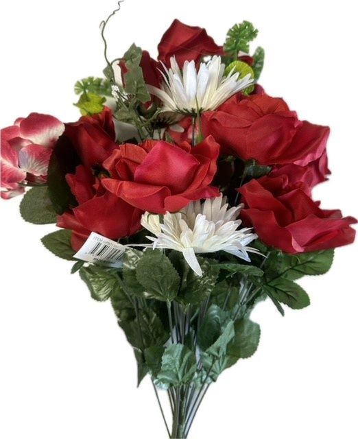 Rose Gerbera MBx24 Rd/Cm