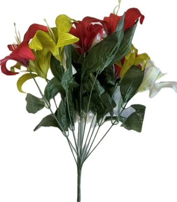 Day Lily Bush x12 Red Lime and Green