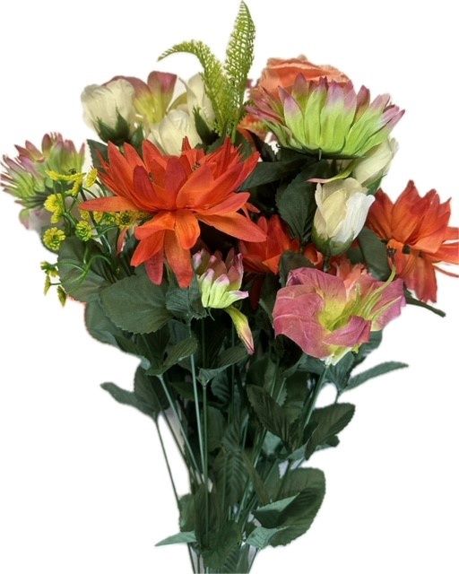 Dahlia SunflowerBushx36 Salmon Orange and Kiwi