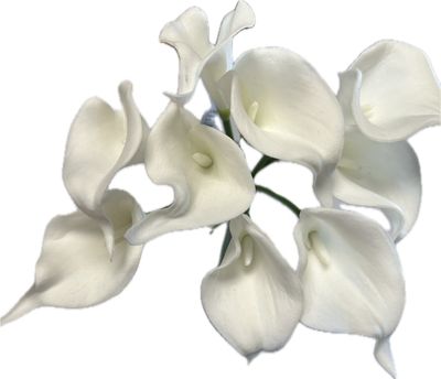 Calla Lily Bouquet x9 White
