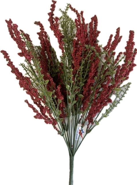 Erica Bush x11 Red