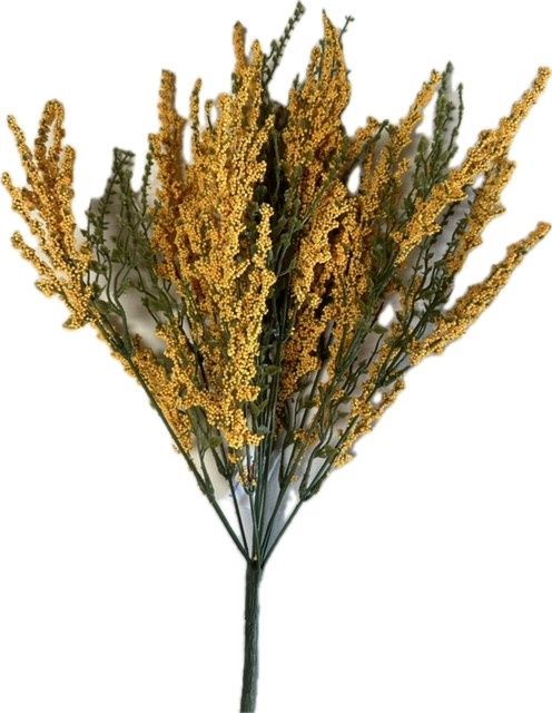 Erica Bush x11 Gold