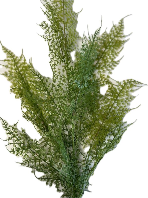 Asparagus Greenery Spray